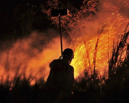 Sesc Pantanal abre novo dia de inscrições presenciais para vagas de brigadista